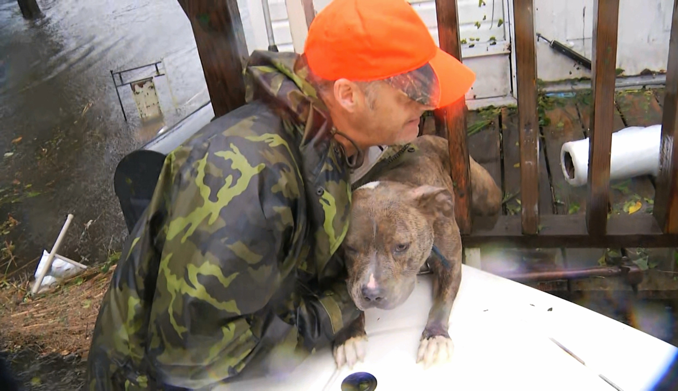 In this image from video, a resident rescues a dog by boat in floodwaters in Jacksonville, N.C., on Friday. As floodwaters rise from Hurricane Florence, some residents are volunteering to perform animal rescues by boat in flooded neighborhoods. 