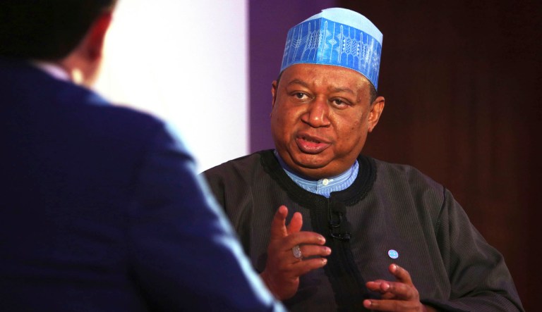 OPEC Secretary-General Mohammed Sanusi Barkindo speaks at an event.