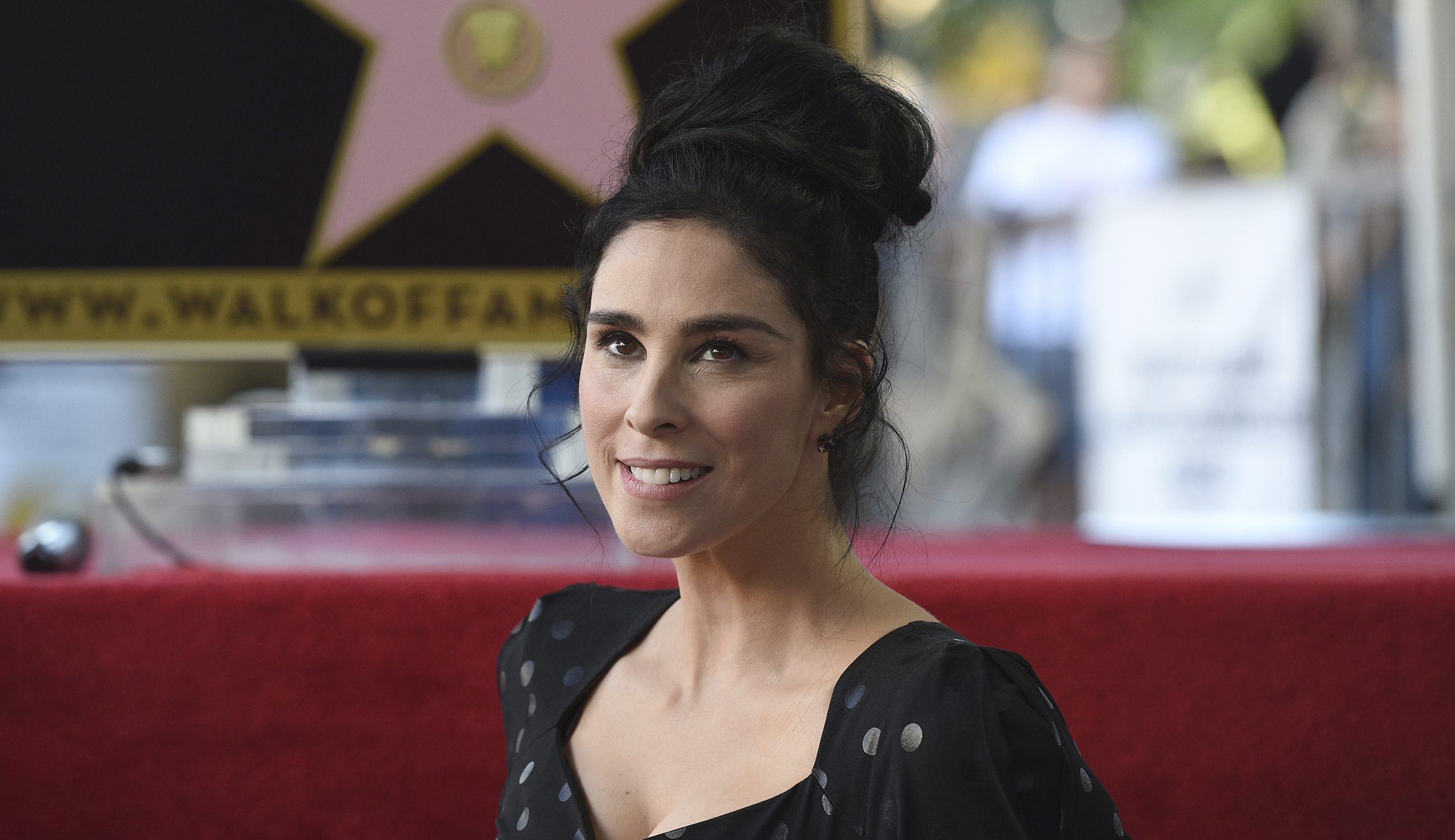 Liberal Media Scream: Sarah Silverman says Trump sponsors ‘domestic terrorism’