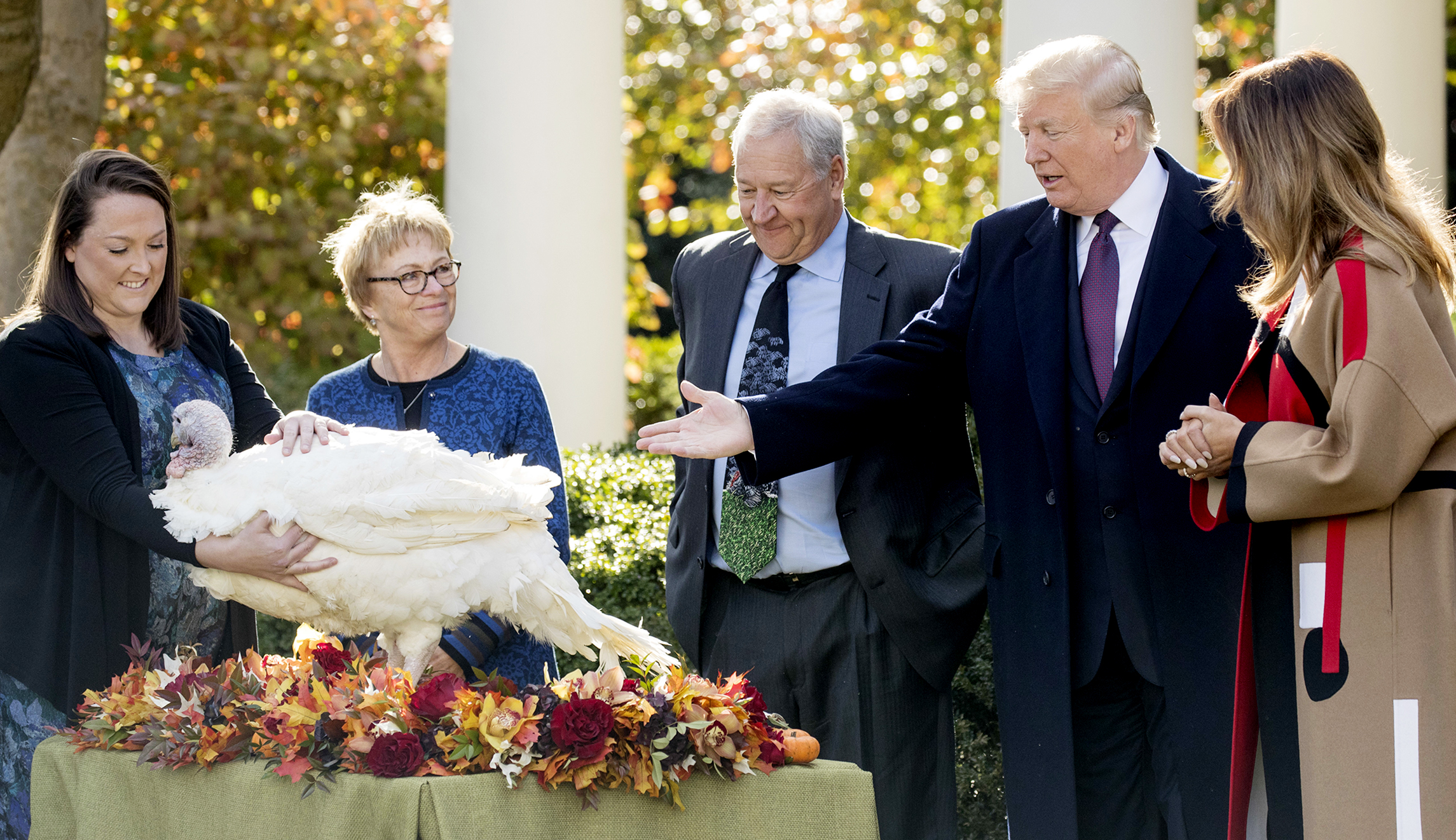 Trump pokes fun at Democratic recounts, 9th Circuit as he pardons Thanksgiving turkeys