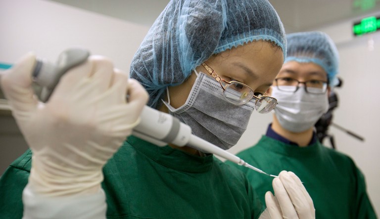 In this Oct. 9, 2018 photo, Zhou Xiaoqin, left, loads Cas9 protein and PCSK9 sgRNA molecules into a fine glass pipette as Qin Jinzhou watches at a laboratory in Shenzhen in southern China's Guangdong province.