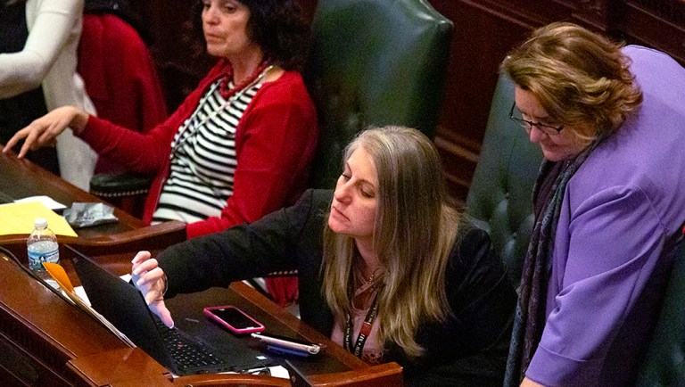 Rep. Stephanie Kifowit, D-Oswego, attends a House veto session.