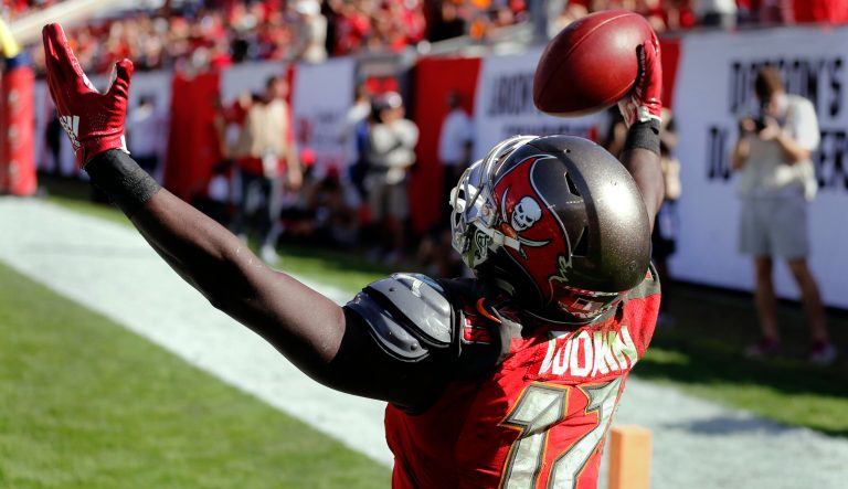 Tampa Bay Buccaneers wide receiver Chris Godwin (12) celebrates his touchdown against the Atlanta Falcons during the first half of an NFL football game Sunday, Dec. 30, 2018, in Tampa, Fla. 