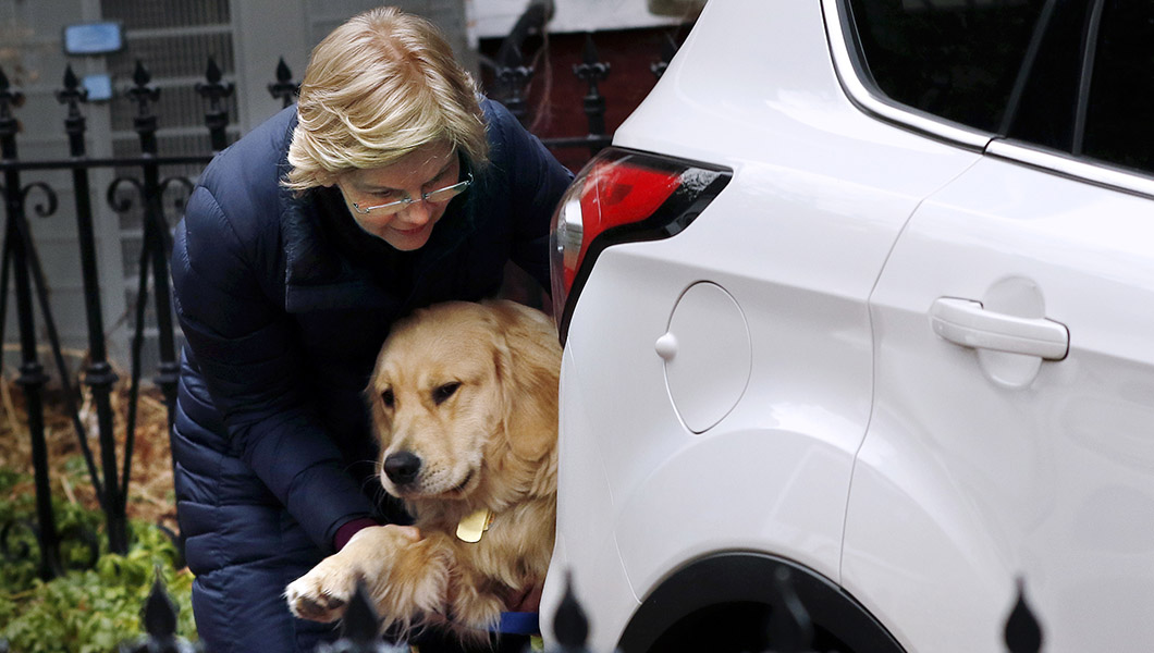 2020 Dems use animal charms in bid to win voters