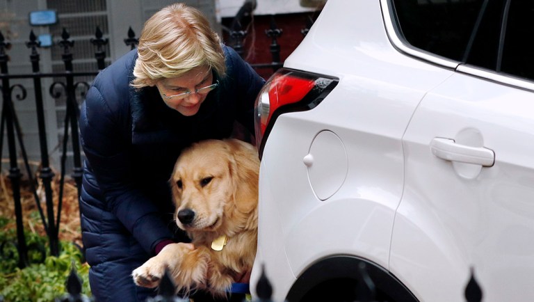 Sen. Elizabeth Warren, D-Mass., loads her retriever Bailey into her vehicle.
