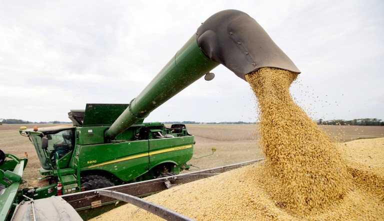 Soybeans are offloaded from a combine during the harvest in Brownsburg, Ind.