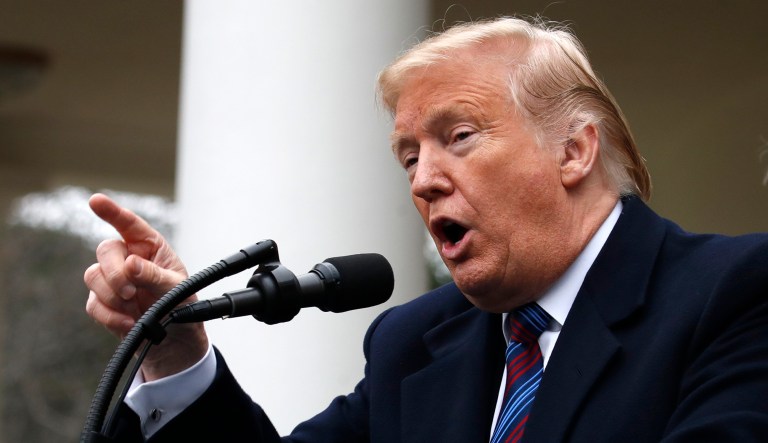 President Trump speaks in the Rose Garden of the White House after a meeting.