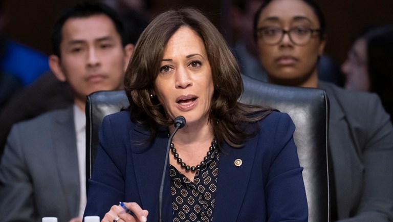 Senate Judiciary Committee member Sen. Kamala Harris, D-Calif., makes her argument.