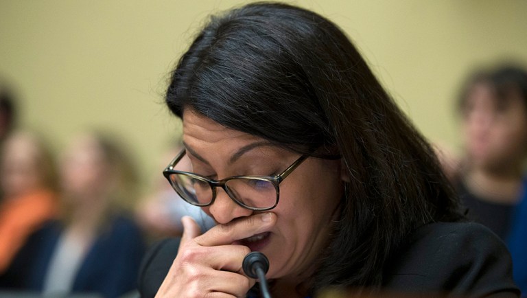 Rep. Rashida Tlaib, D-Mich., pauses as she questions.