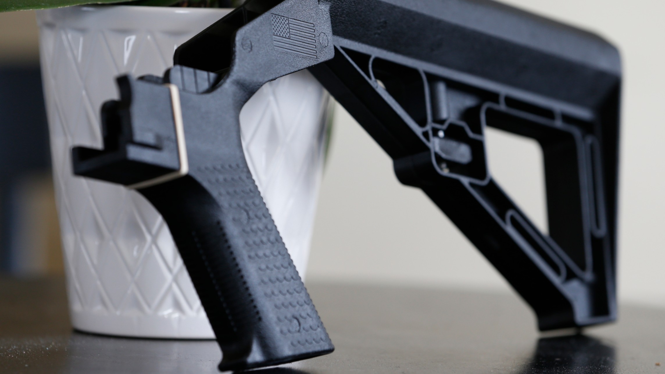 Gun regulators have admitted to violating the Second Amendment