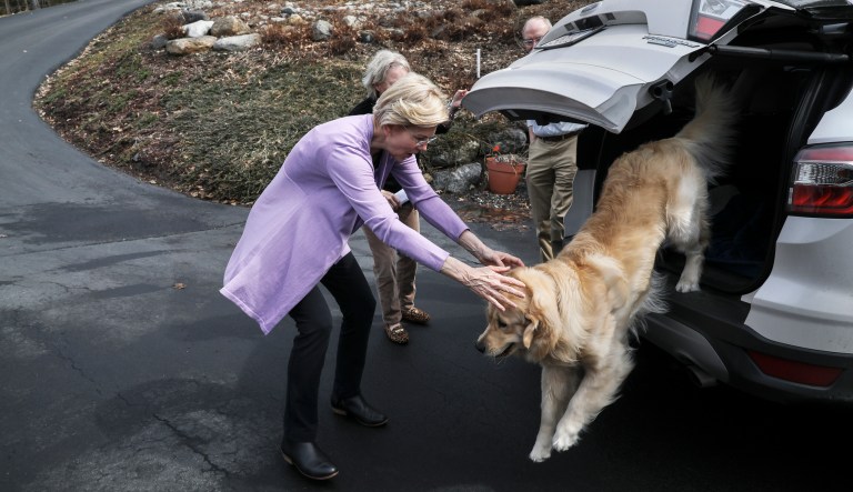 Sen. Elizabeth Warren D-Mass., lets her dog Bailey out of the car as she arrives at the home of Ann Garland in Lebanon, N.H. Saturday, April 13, 2019.