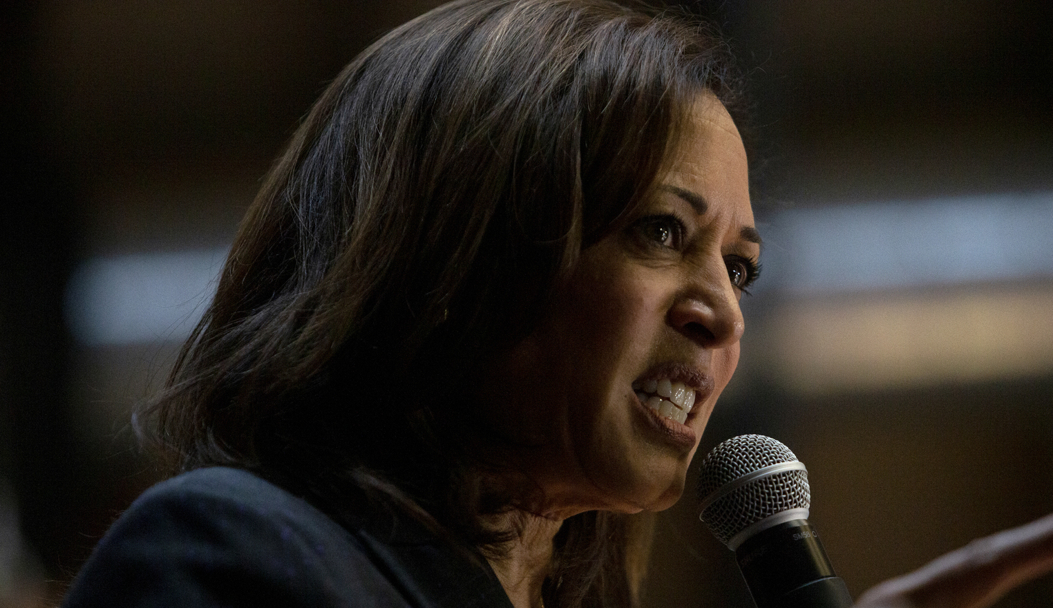 Kamala Harris: DOJ ‘would have no choice’ but to prosecute Trump after White House