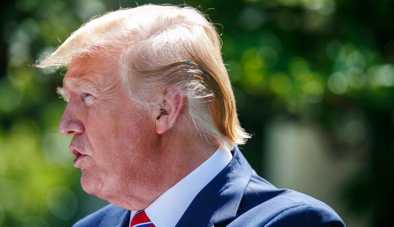 President Donald Trump speaks during a news conference in the Rose Garden of the White House, Wednesday June 12, 2019, in Washington. 