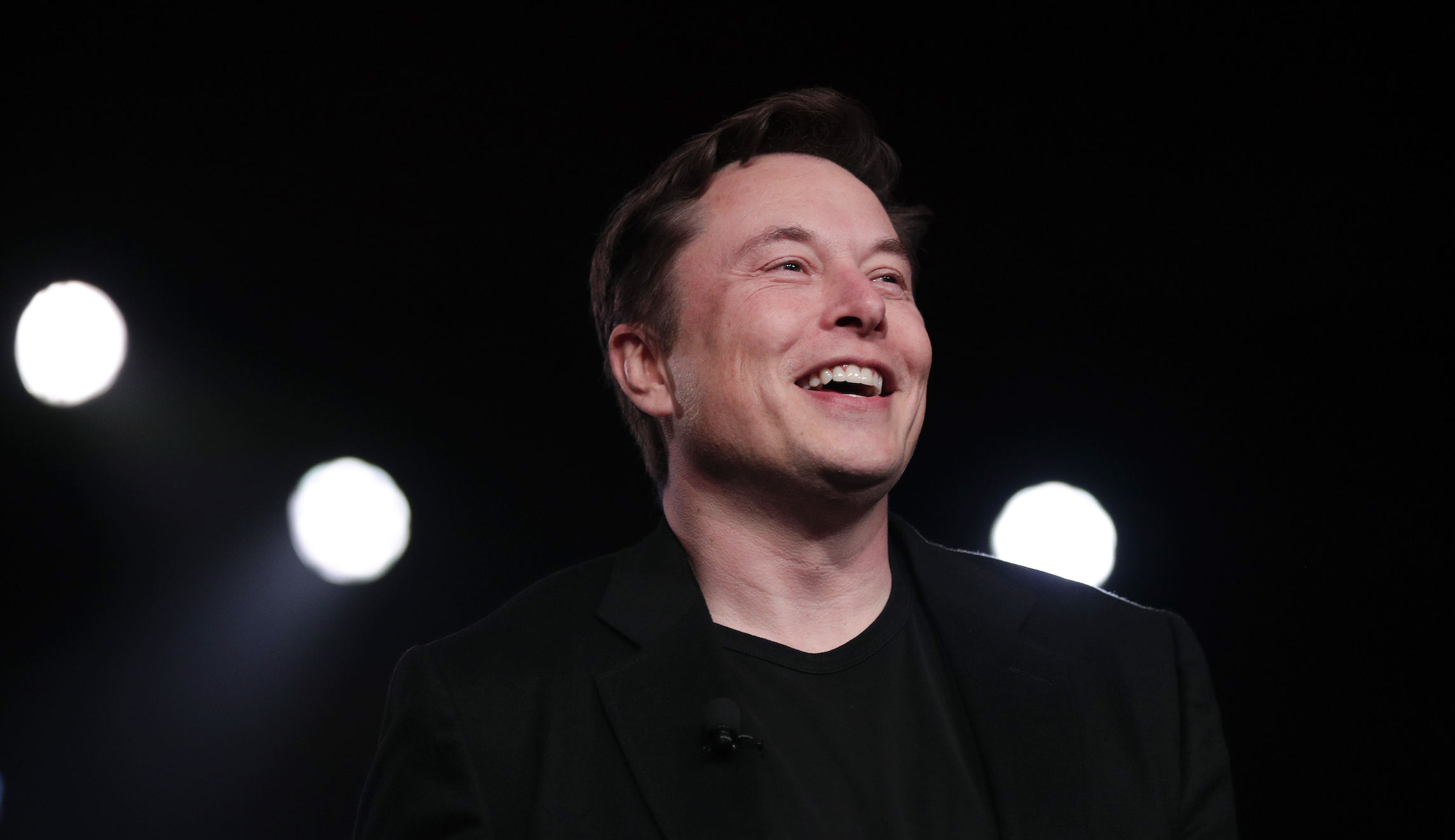 ‘Sounds legit’: Elon Musk joins a YouTuber’s campaign to plant 20 million trees