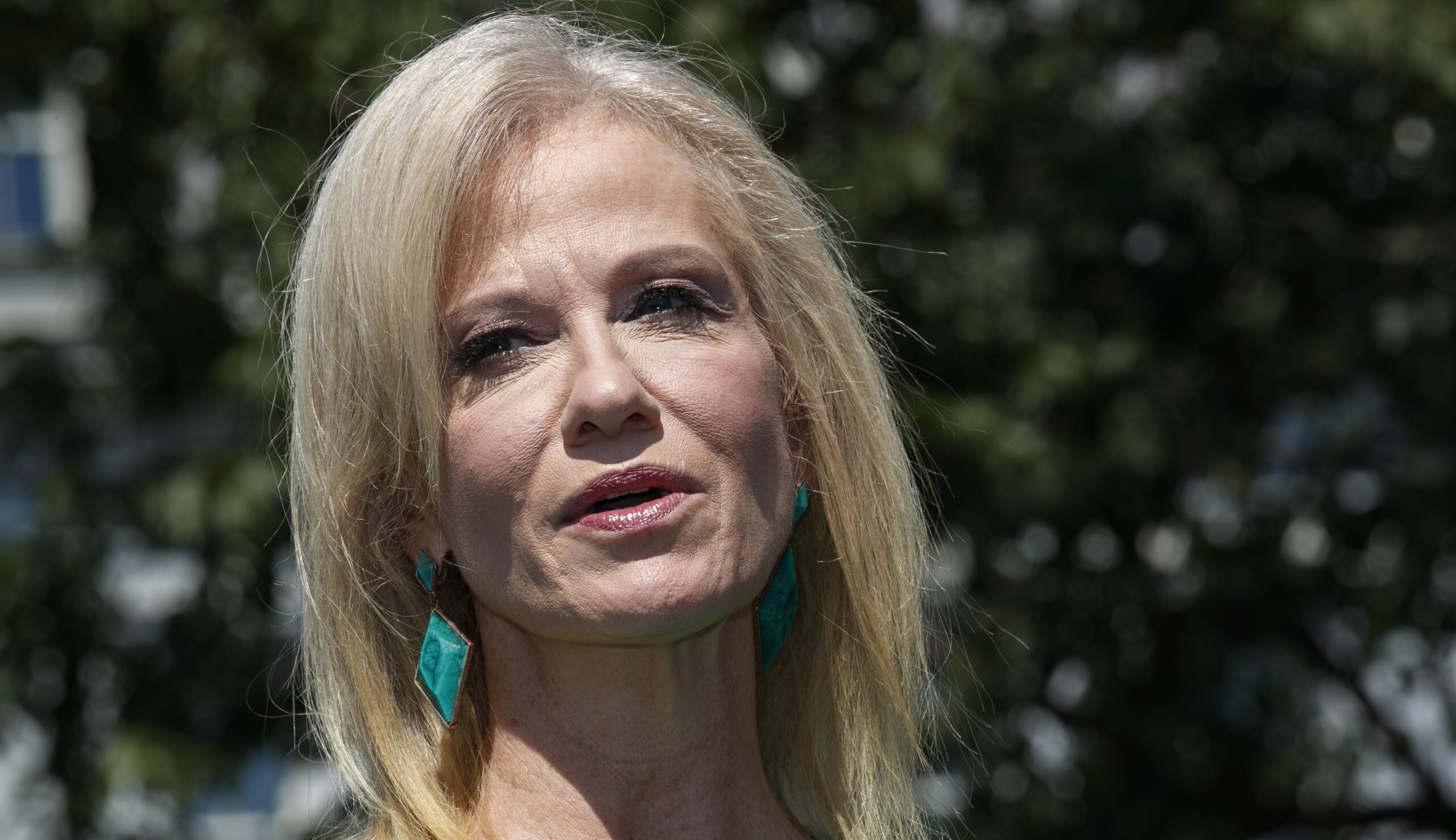 Kellyanne Conway addresses Trump’s Epstein tweets