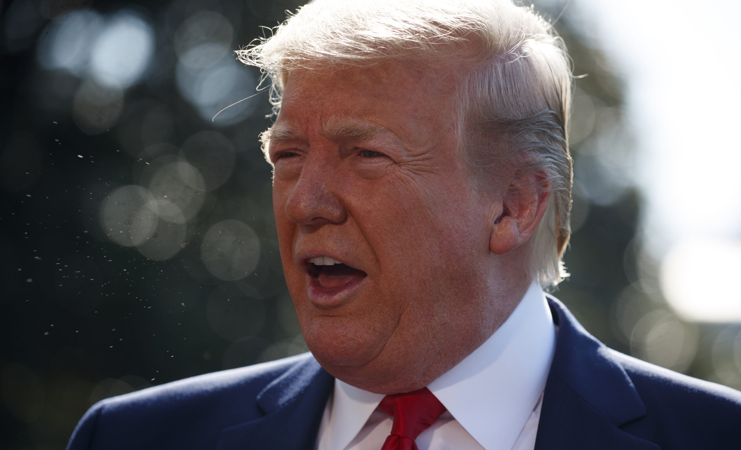 Half of voters say Trump is racist