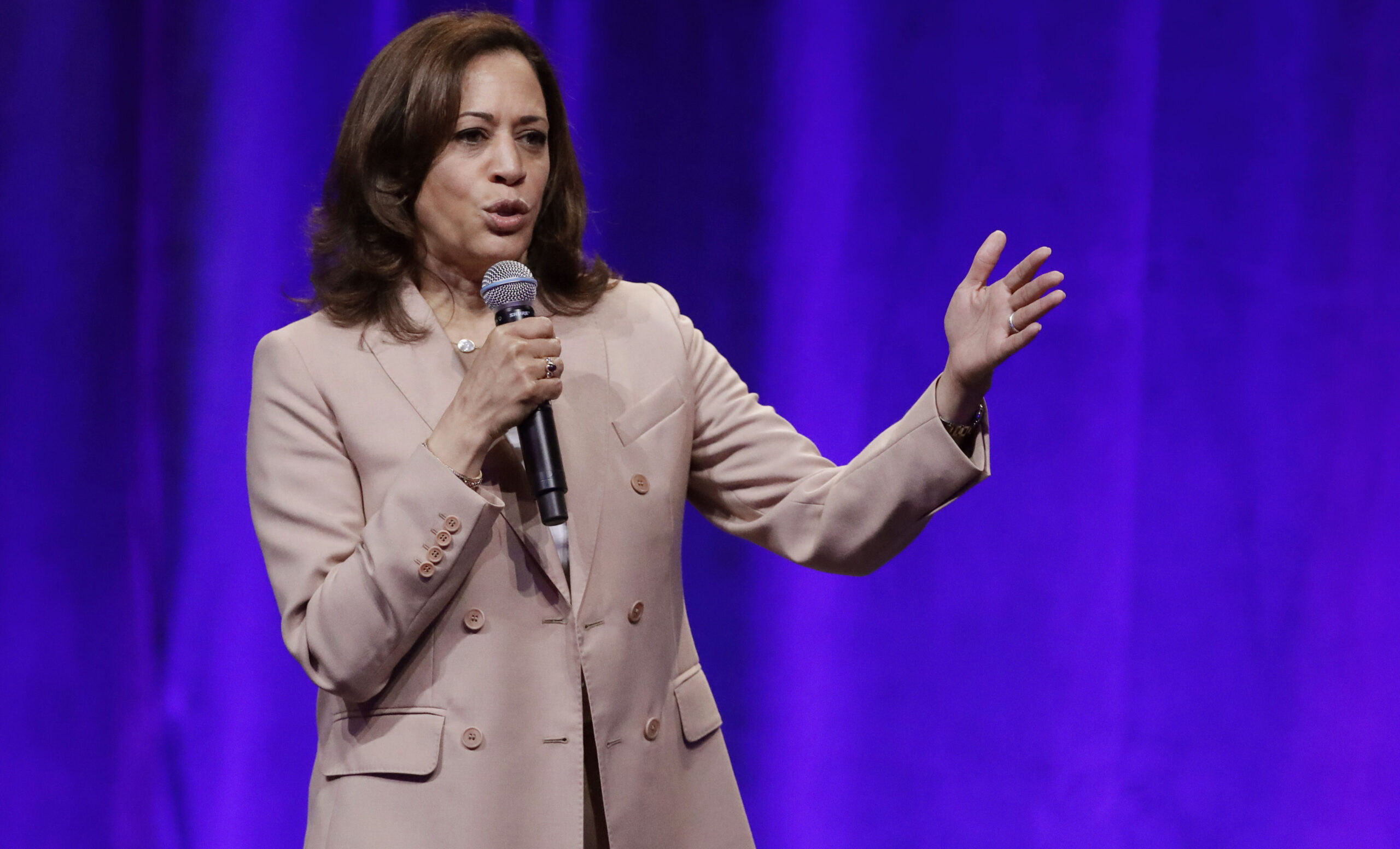 Kamala Harris backs federal gun licensing