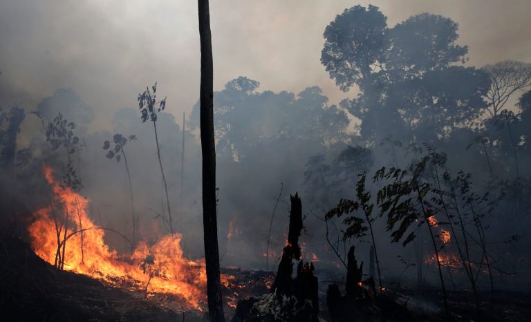 A fire burns along the road to Jacunda National Forest, near the city of Porto Velho in the Vila Nova Samuel region which is part of Brazil's Amazon, Monday, Aug. 26, 2019. 