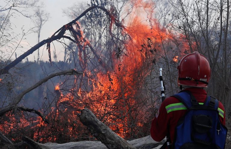 ‘Ready to assist’: US says it will help Brazil fight Amazon fires