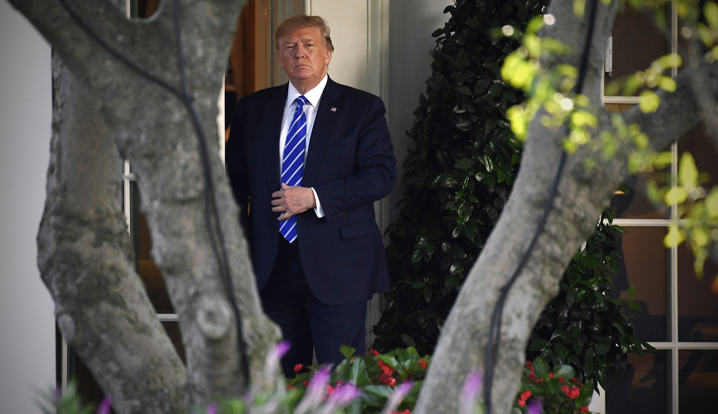 Economically, Trump has nothing to fear but his own trade war