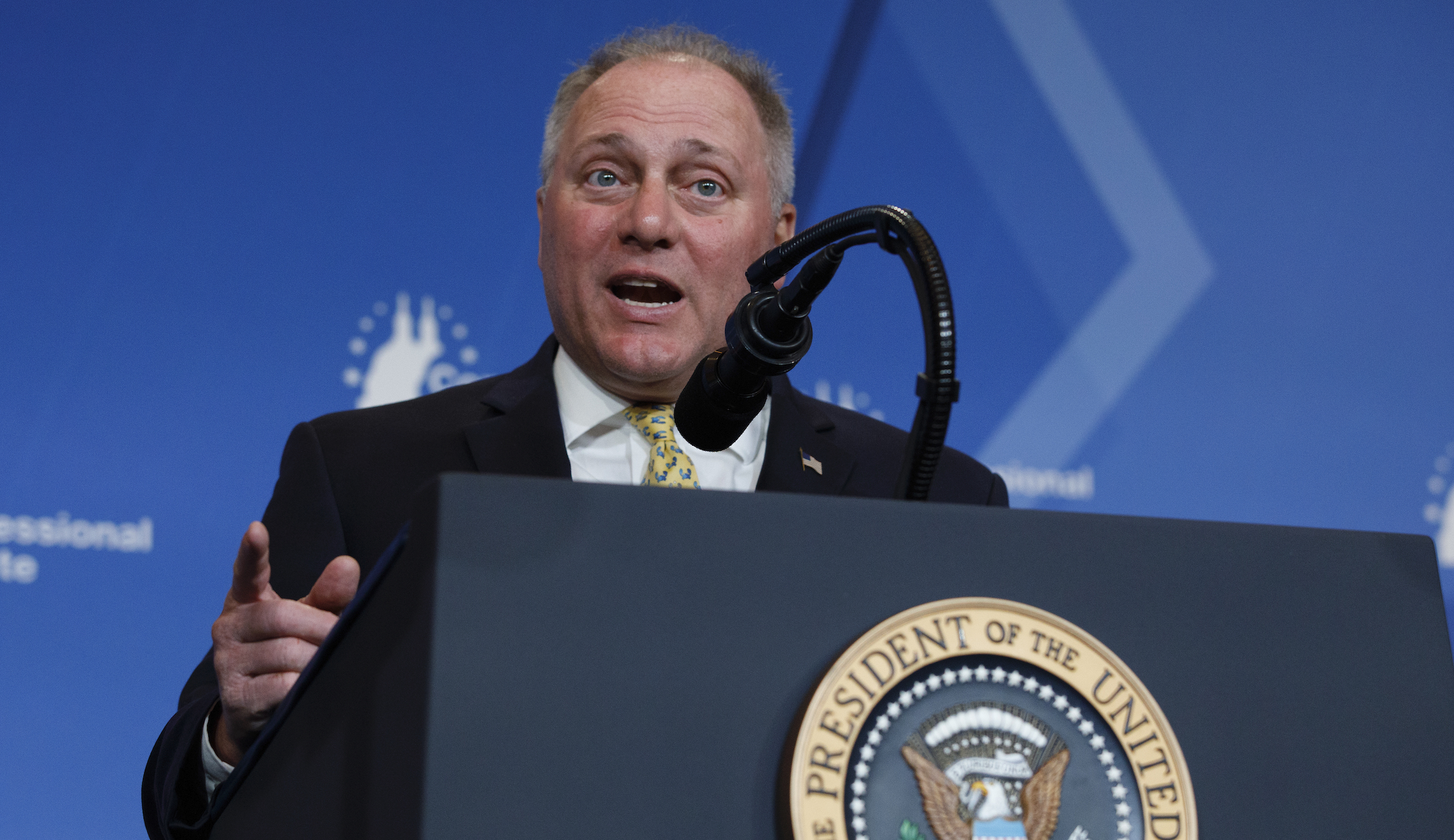 Scalise says ‘there’s no guarantee’ Trump will get due process from House Democrats