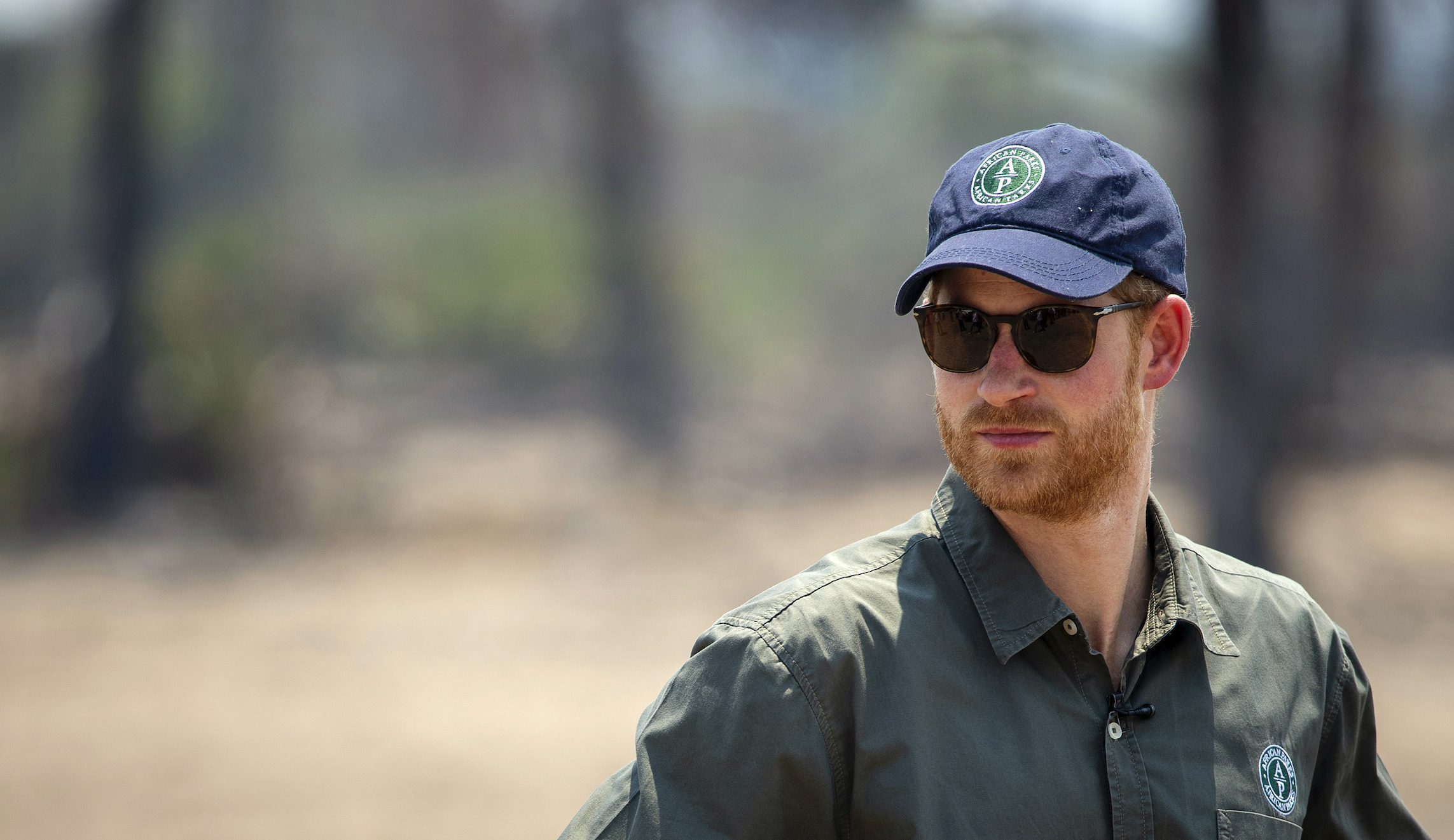 Prince Harry needs to get a grip or else abdicate