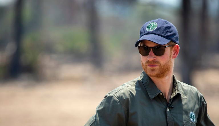 The Duke of Sussex watches an anti-poaching demonstration exercise conducted jointly by local rangers and U.K. military deployed on Operation CORDED at the Liwonde National Park in Malawi on day eight of the royal tour of Africa. 