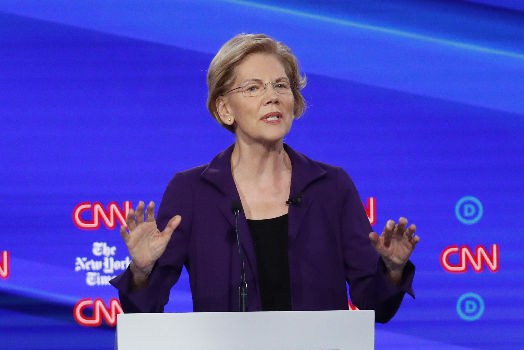 Honest socialists vs. Elizabeth Warren