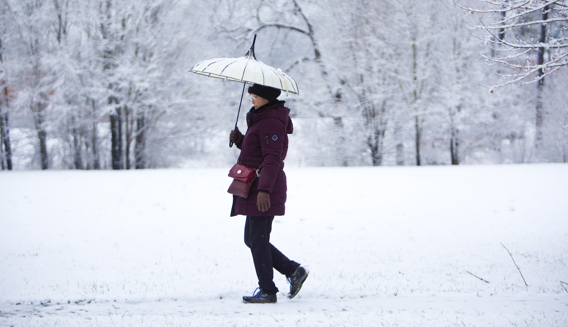 ‘Run for your lives!’: Federal workers mocked for reaction to one inch of snow