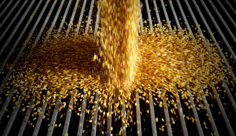 Corn is delivered to the Green Plains ethanol plant in Shenandoah, Iowa.
