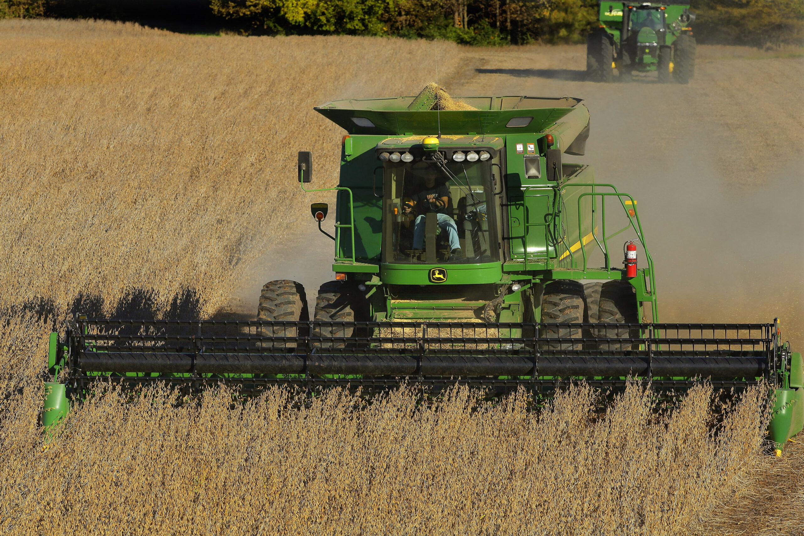 Agriculture industry terrified at prospect of China tariffs
