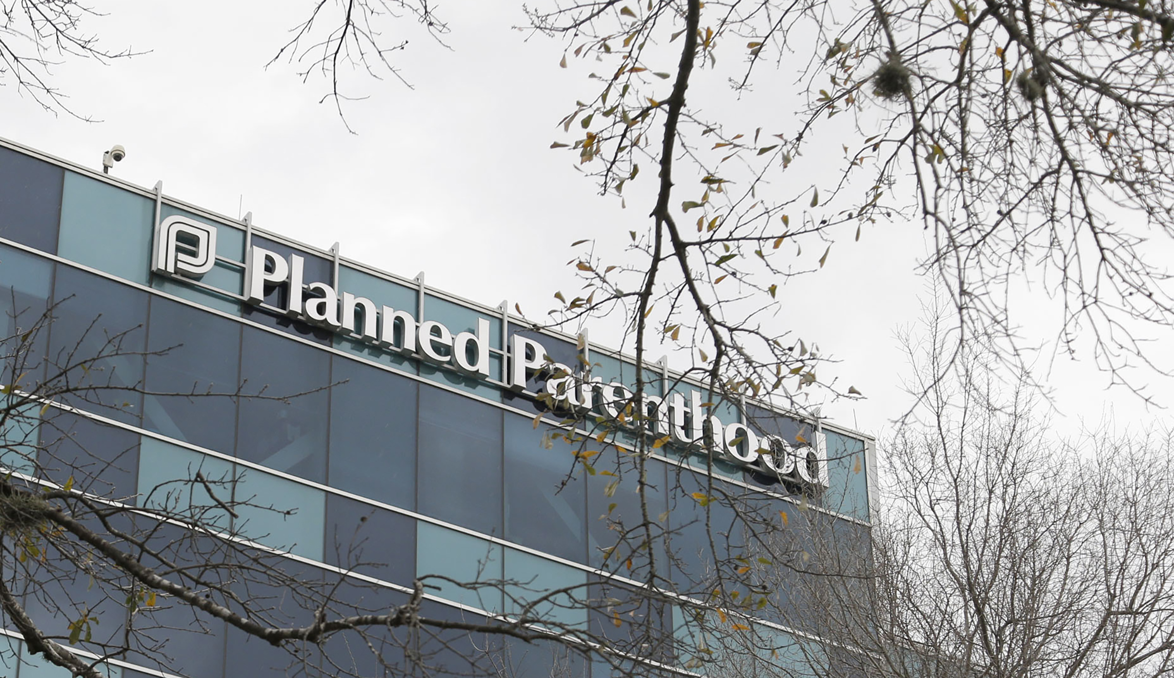 Appeals court gives Texas permission to strip Medicaid funding from Planned Parenthood