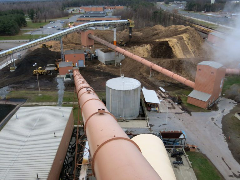 EPA’s Scott Pruitt says burning wood is renewable energy