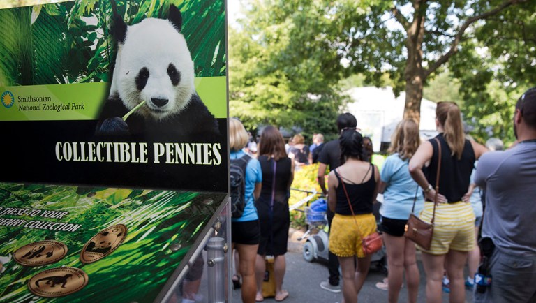 Security theater at the National Zoo? No thank you