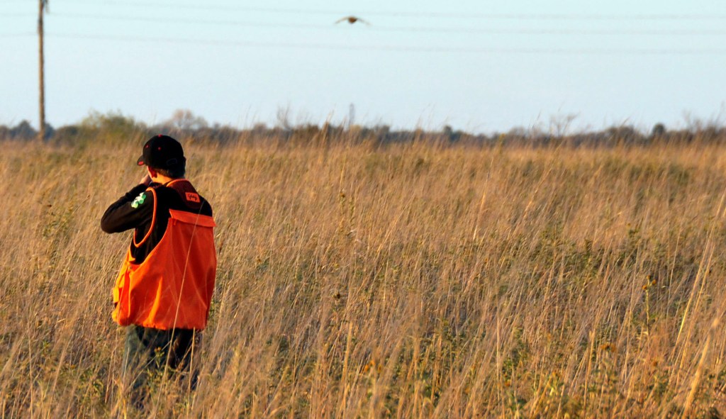 Wildlife hunter shot while on South African reserve