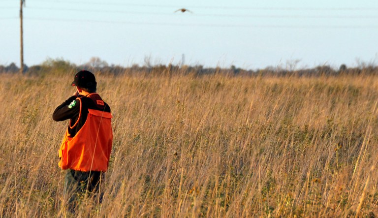 Interior proposes hunting in wildlife refuges