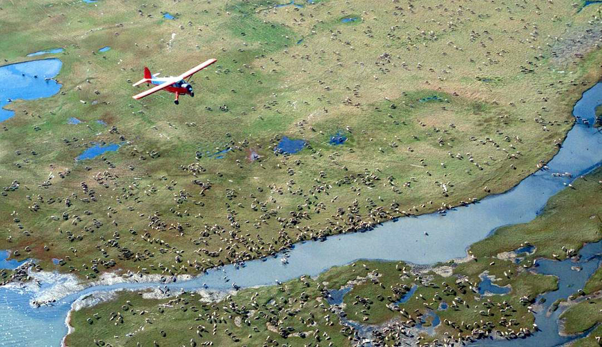 House Democrats tell bank leaders not to finance oil drilling in Arctic refuge