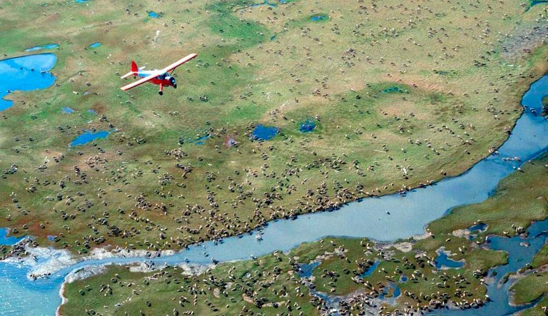 House Democrats tell bank leaders not to finance oil drilling in Arctic refuge