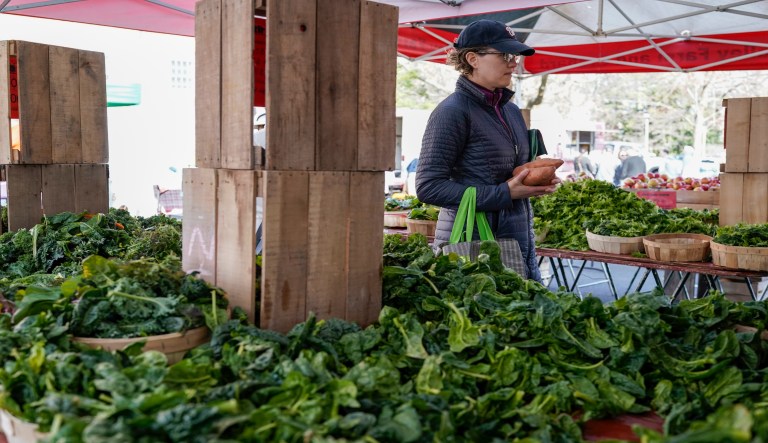 Border closures have farm industry concerned for loss of seasonal workers