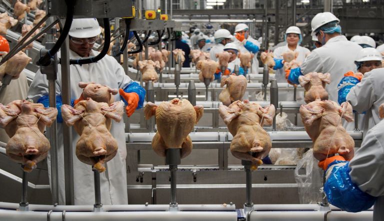China lifts ban on US poultry as part of phase one deal concessions on agriculture