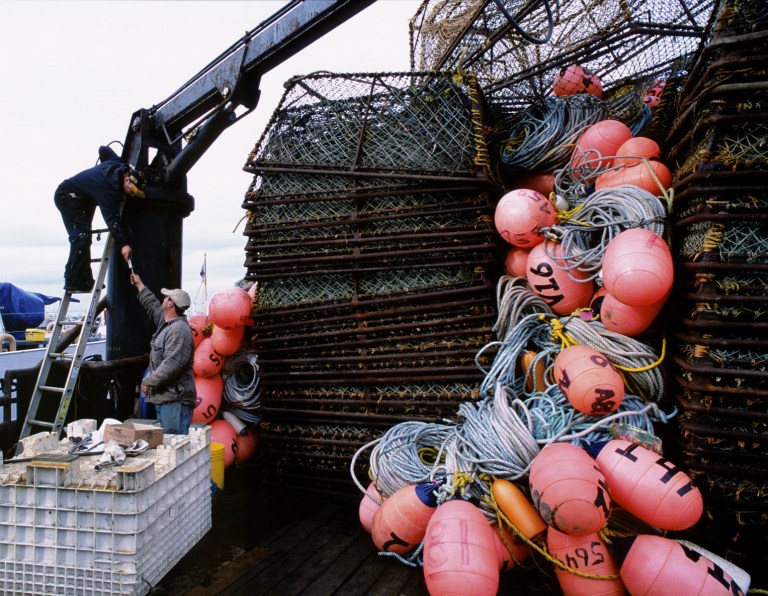 Alaska cancels snow crab season due to sustainability concerns