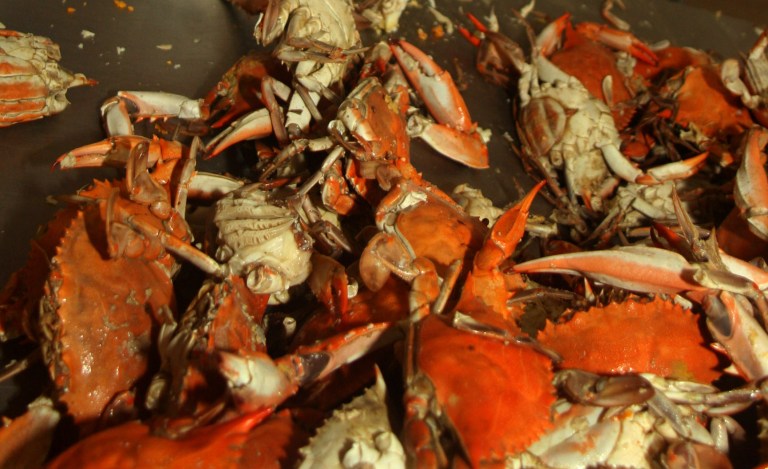 Man accused of stealing $432K in crab while impersonating Safeway agent