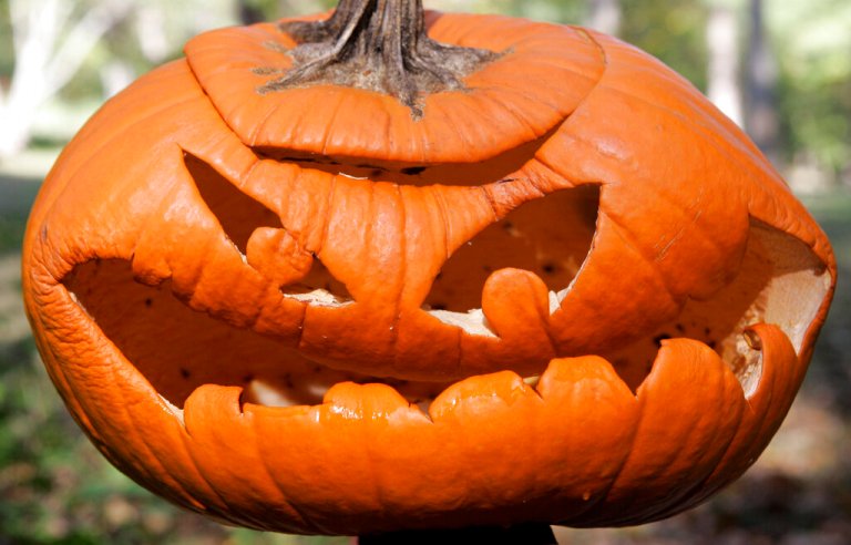 Halloween weekend mall threat reported in northern Virginia ahead of election