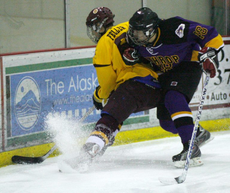 High school hockey player dies after suffering injury on the ice