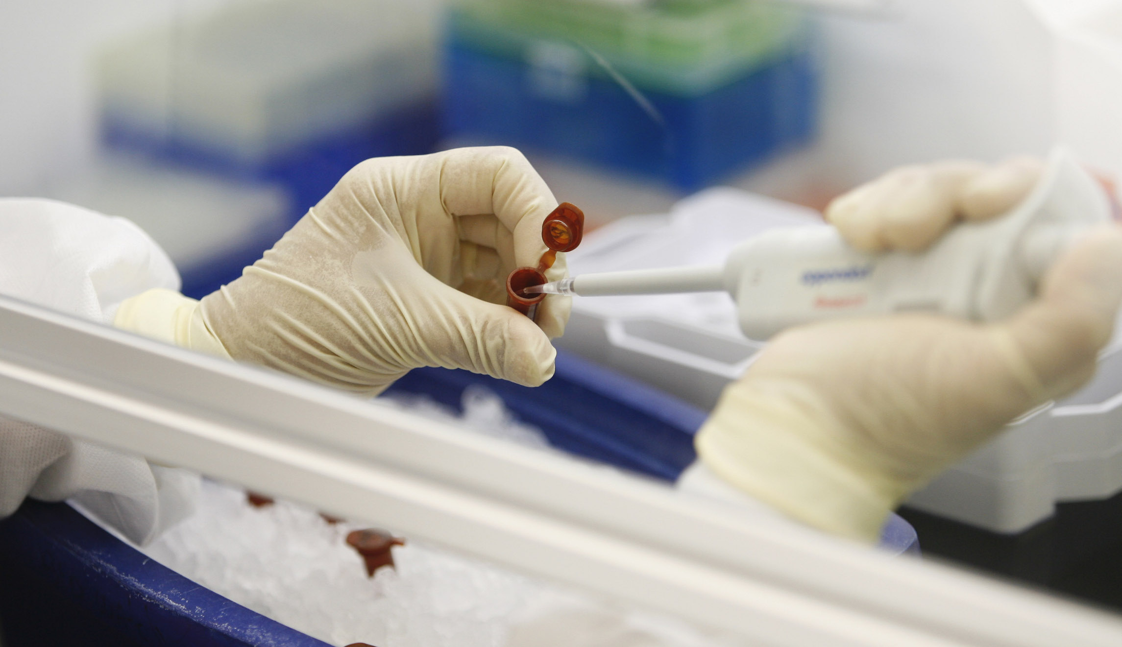 New flu with ‘all the hallmarks’ of pandemic-causing virus spotted in China