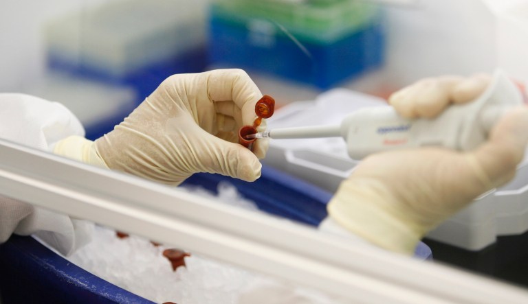 New flu with ‘all the hallmarks’ of pandemic-causing virus spotted in China