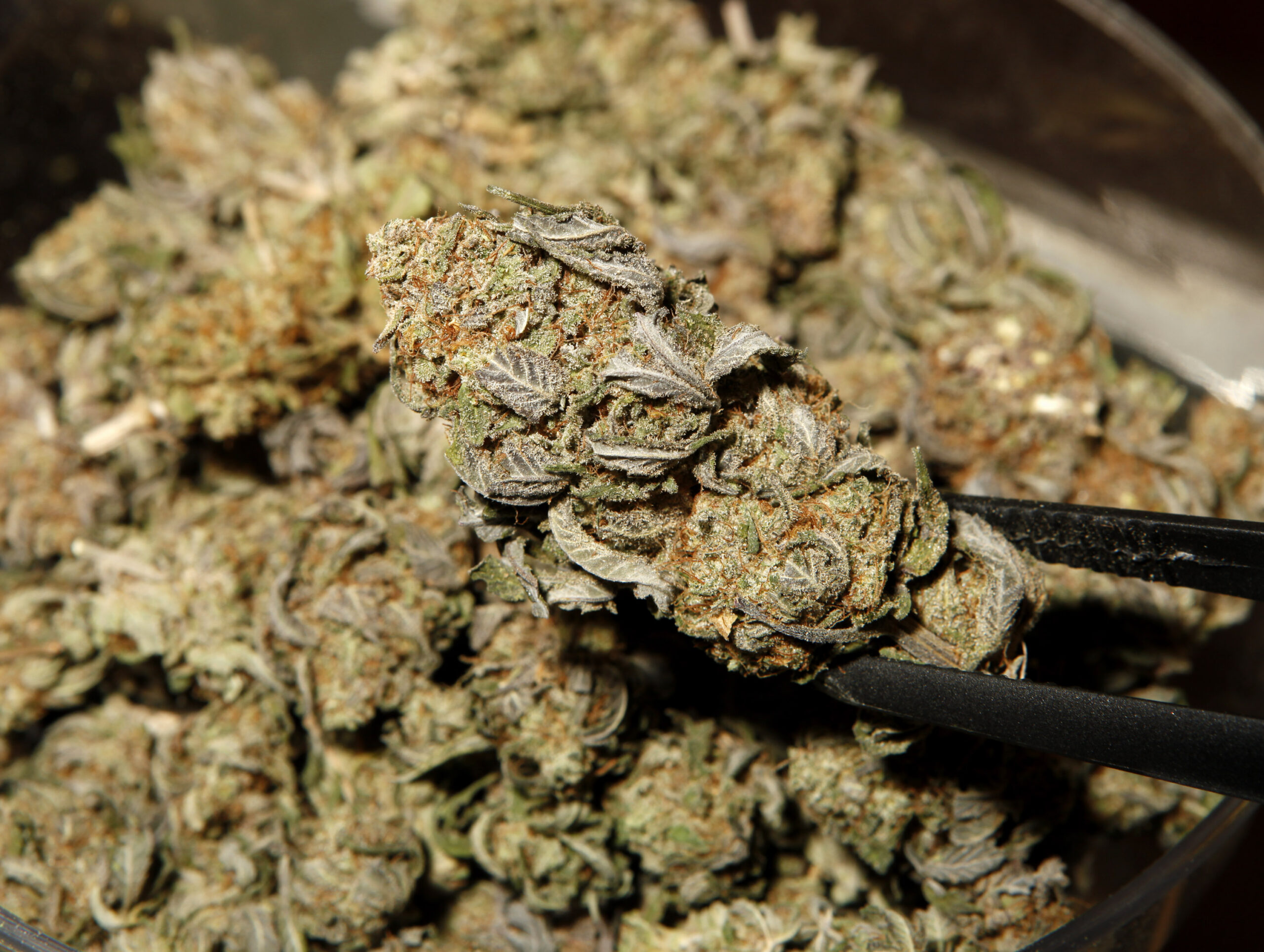 Bill protects medical marijuana patients’ gun ownership rights
