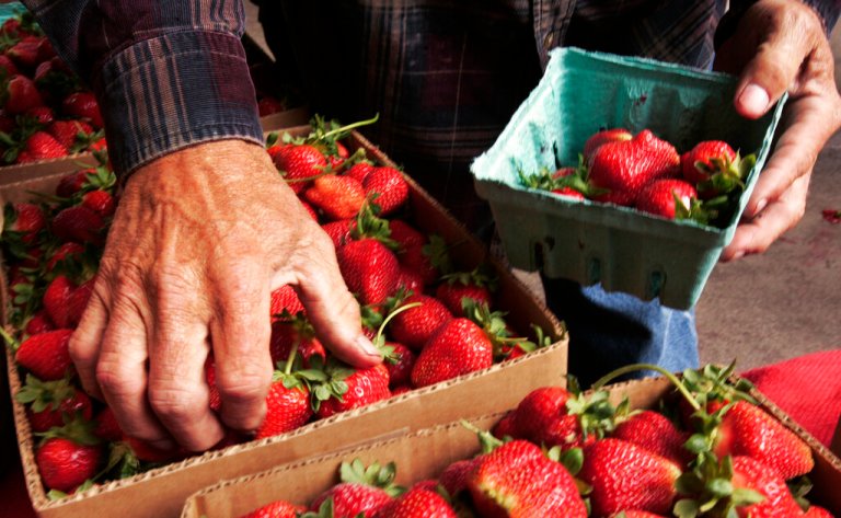 Food stamps: Arkansas to wrap up SNAP payments worth up to $1,691 for September in two days