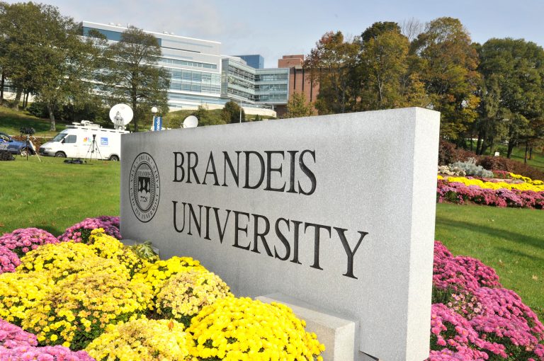 White Brandeis University administrator says all whites are racists