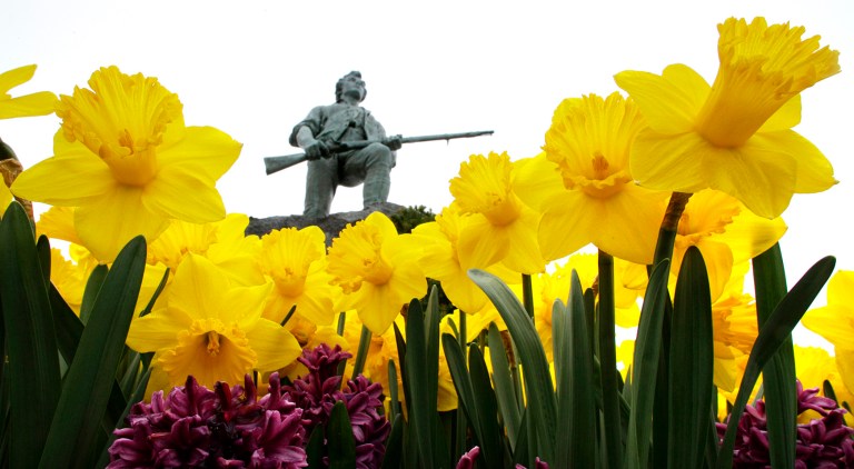 NRA predicts Supreme Court will finally define Second Amendment